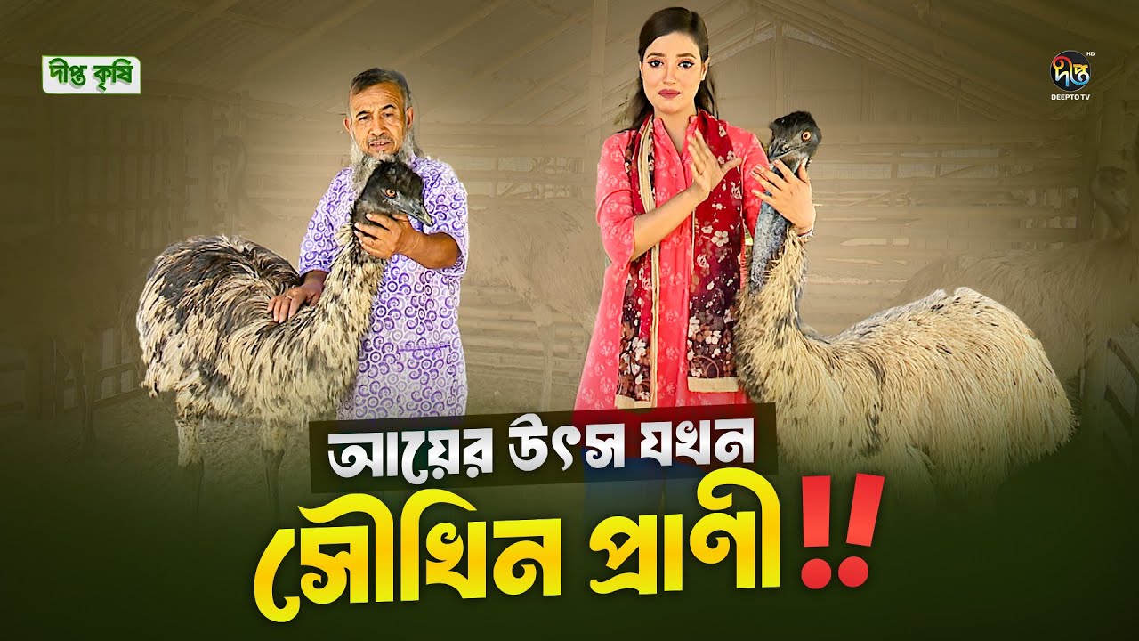 Deepto Krishi | খুলনায় উটপাখি, ইমু, ময়ুর, হরিণসহ বিরল পশুপাখির বাণিজ্যিক খামার l  EP 1664