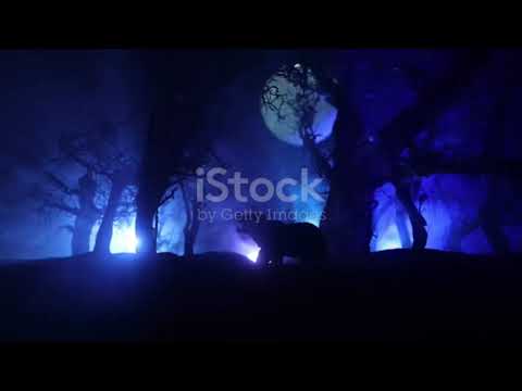 وحش في الظلام أسطورة أم حقيقة