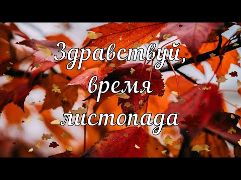 ЗДРАВСТВУЙ, ВРЕМЯ ЛИСТОПАДА 🍁🍂🍁 ОЧЕНЬ КРАСИВАЯ МУЗЫКАЛЬНАЯ ОТКРЫТКА! 🍁🍂🍁