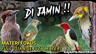 Download Lagu SAYA KASIH YANG SPESIAL !! MASTERAN BURUNG FULL ISIAN MP3
