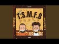 T S M F B Tryna Sting Me F Cking Bees mp3