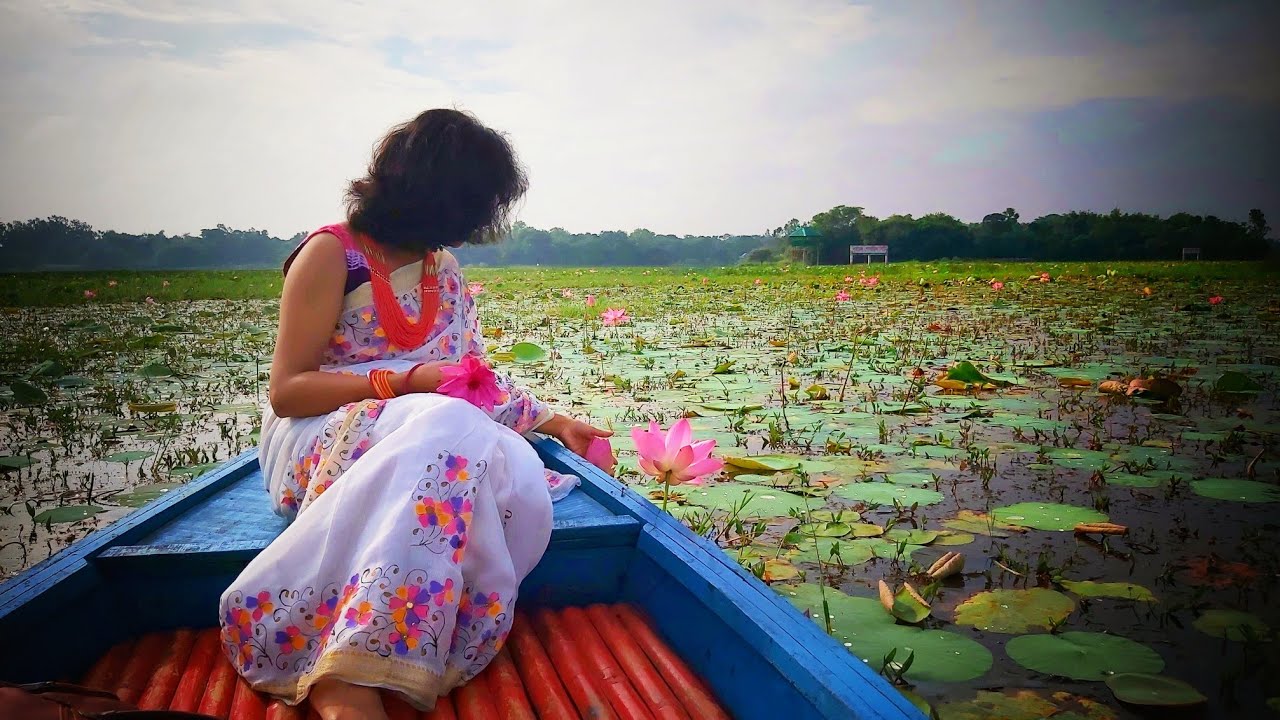 Puchi S Mother Was In Lotus Valley Nature Beautiful Bangladesh