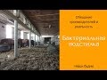 Ферментационная подстилка для лошадей / Дивные Кони