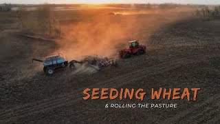 Seeding Wheat and Rolling Pasture with CaseIH Quadtrac STX440 and CaseIH 9270
