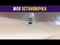 Приколы и мемы. Моя остановочка | Мемозг #43