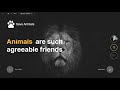 Figma Animated Banner Slider video coming soon.