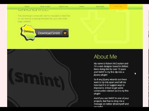 Smint Visual Demonstration