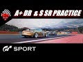 GT Sport A+ DR & S SR FIA Practice