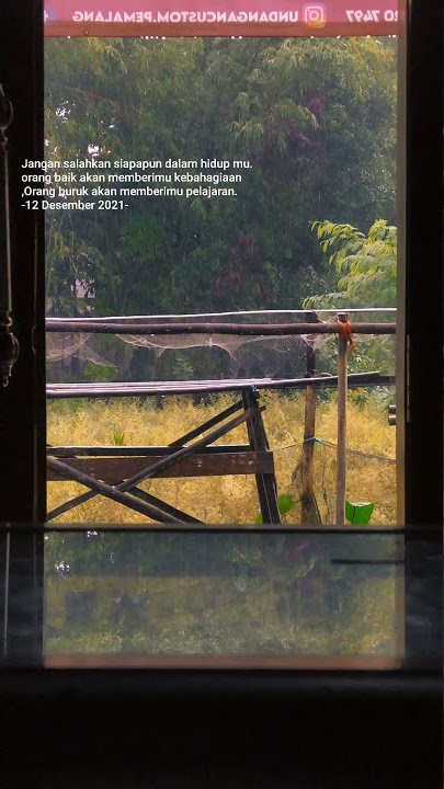 Status WA GALAU SEVENTEEN MEMIKIRKAN DIA