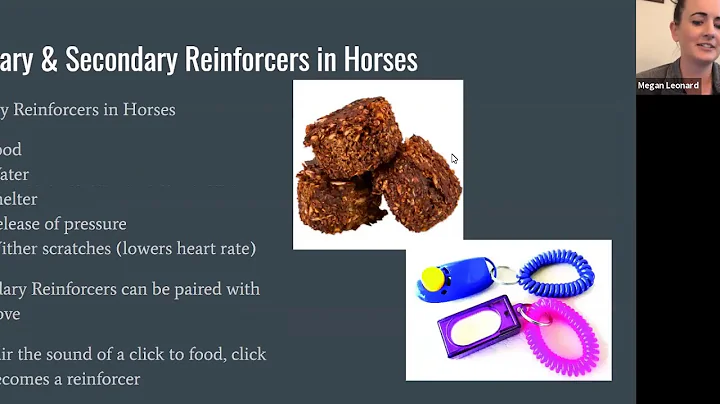 Dressage Webinar Series #7: Clicker Training Under...
