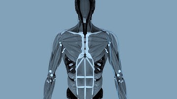 Breakthrough Humanoid Robotics & AI Tech | Quantum Computer Breakthrough