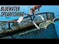 Bluewater Spearfishing on World's LARGEST FAD {Catch & Cook}