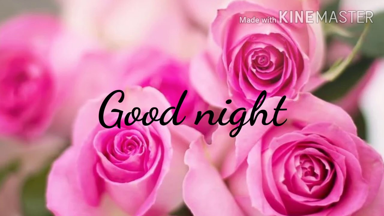 good night images,photo,pics, gif, flowers, music , status, good ...