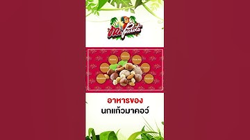 อาหรของนกแก้วมาคอว์