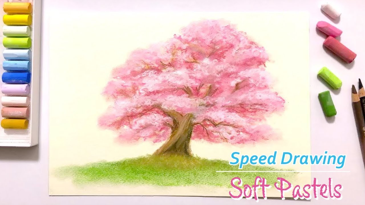 How To Draw A Cherry Blossom With Soft Pastels Time Lapse Youtube