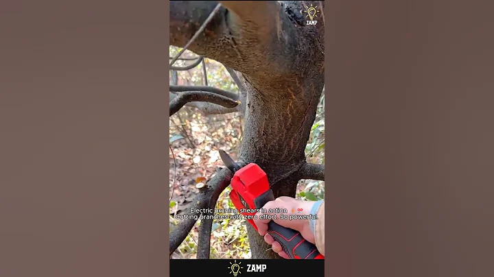 This ELECTRIC Pruner Cuts Thick Branches Like Butter 😮✂️ #gardening   #pruning #gardeningtools