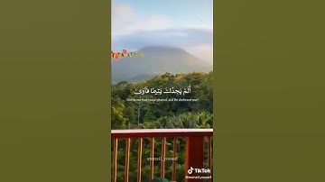 ولسوف يعطيك ربك فترضى الم يجدك يتيما حالات واتس سورة لضحى حالات قصيرة دينية القرآن الكريم💜🤲🧡💙🤩