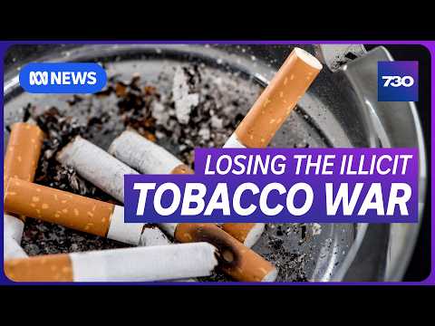 Inside the booming illicit tobacco industry in Australia | 7.30