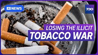 Inside the booming illicit tobacco industry in Australia | 7.30
