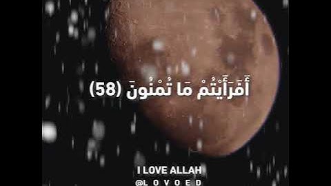 سورة الواقعه ياسر الدوسري50  الي 74 - 056-سورة الواقعة ياسر الدوسري