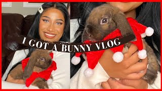 COME PICK UP MY NEW BABY BUNNY WITH ME | VLOG |