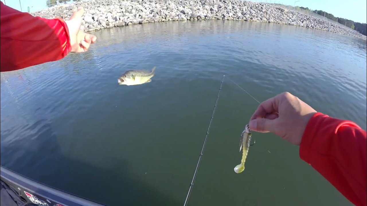 Fishing the Nickajack Dam - YouTube