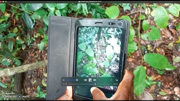 Using a Mobile Data Form to Collect Data In-Field