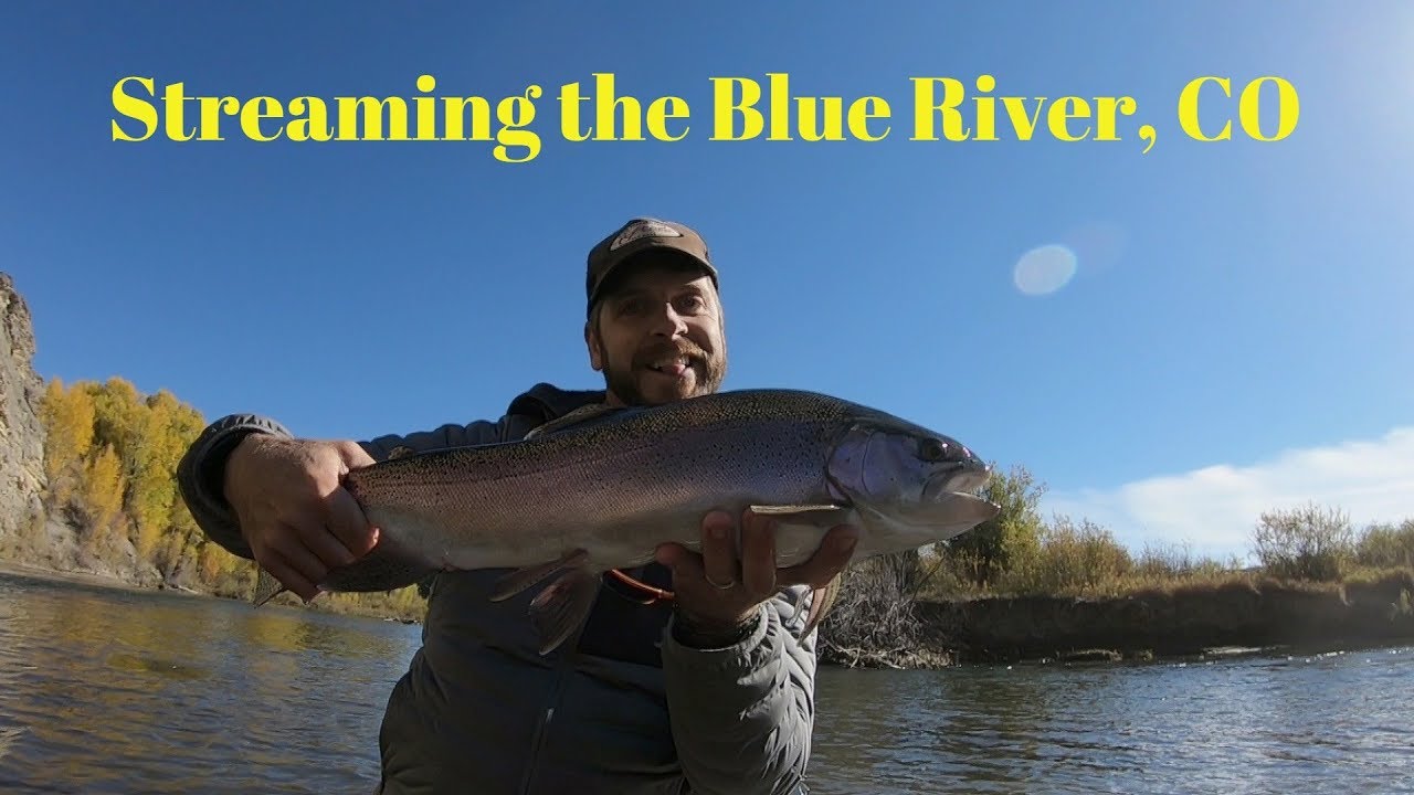 Streaming the Blue River, Colorado with Ascent Fly Fishing - YouTube