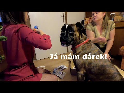 Video: Prečo Nám Psy Robia Radosť?