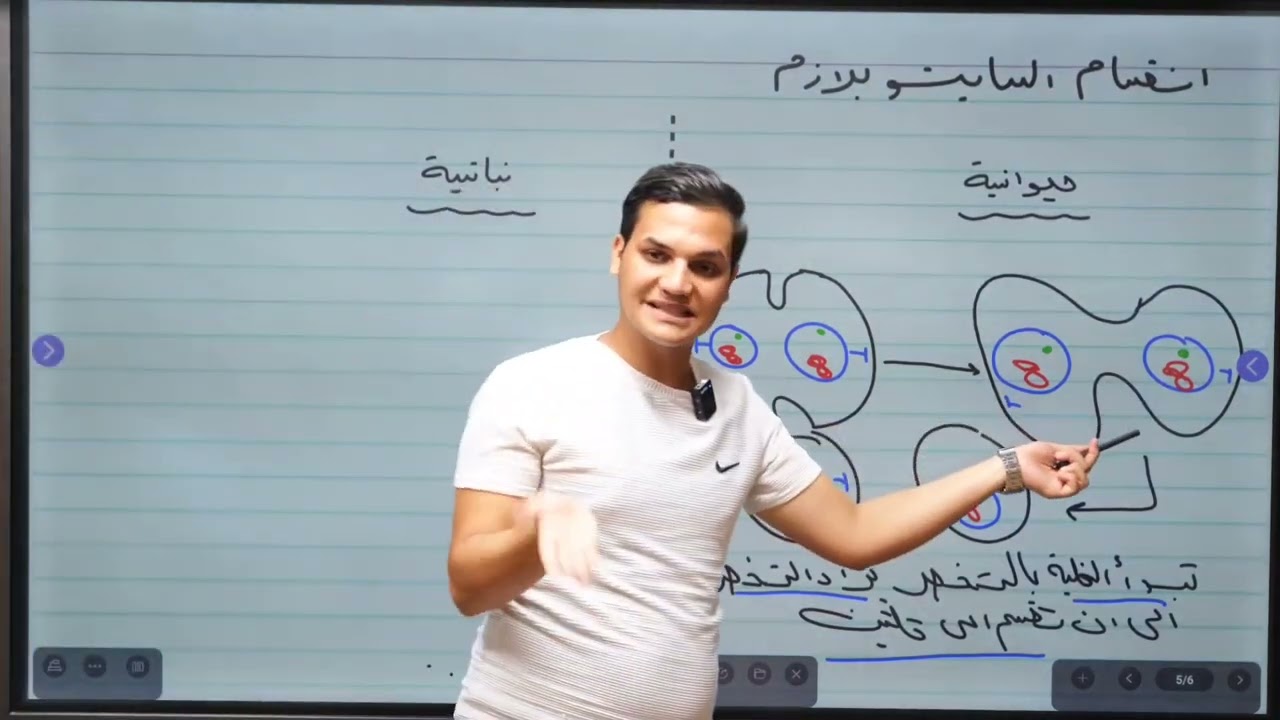 انقسام السايتوبلازم