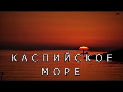 Каспийское море или озеро? Интересные факты про Каспий.