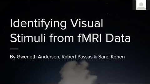 DS3000 - Identifying Visual Stimuli from fMRI Data