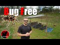 How to Stay Bug Free With a Tarp - Shelter Options Addons