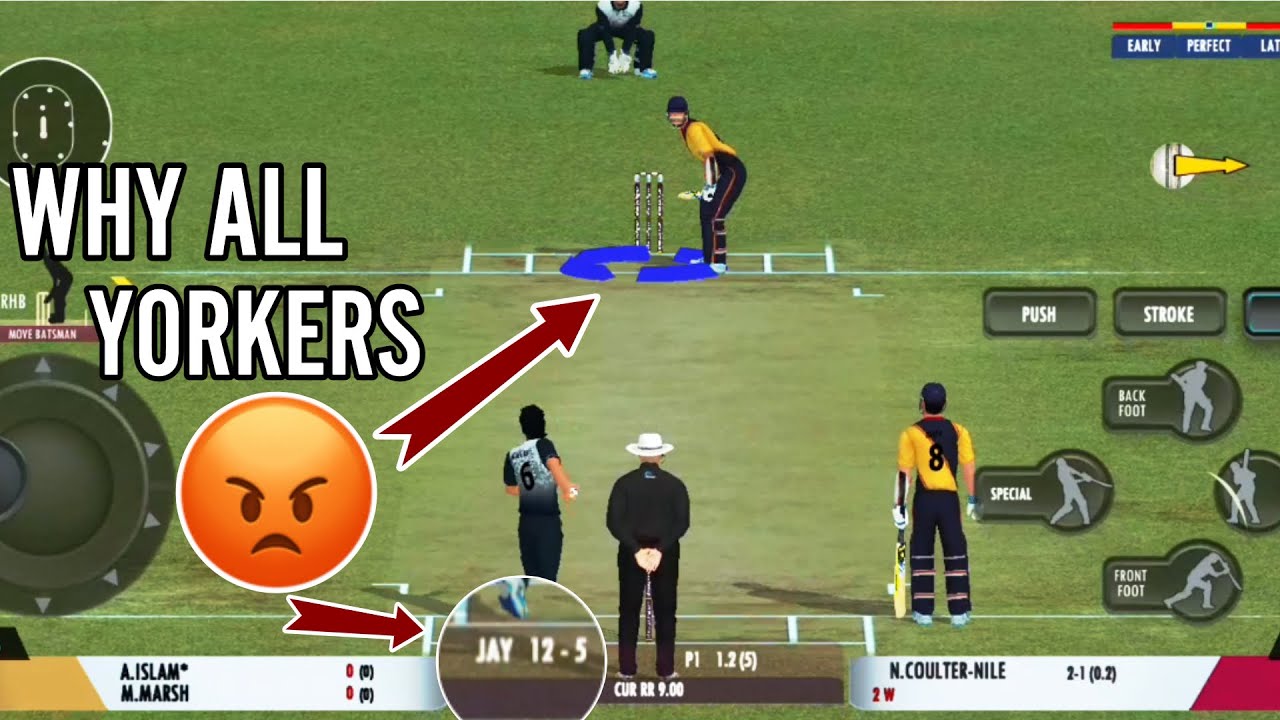 Why but why all Yorkers | Real Cricket 22 - YouTube