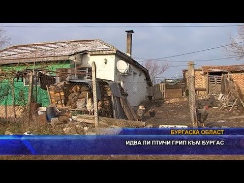 Видео: Свързаните с рака фибробласти насърчават растежа и прогресията на тумора на простатата чрез повишаване на холестерола и стероидната биосинтеза