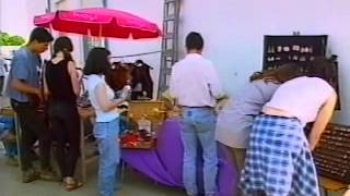 Foz Côa As figuras não sabem nadar