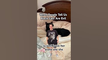 Black Cats Aren’t Evil. They’re Just Misunderstood #blackcats #shorts