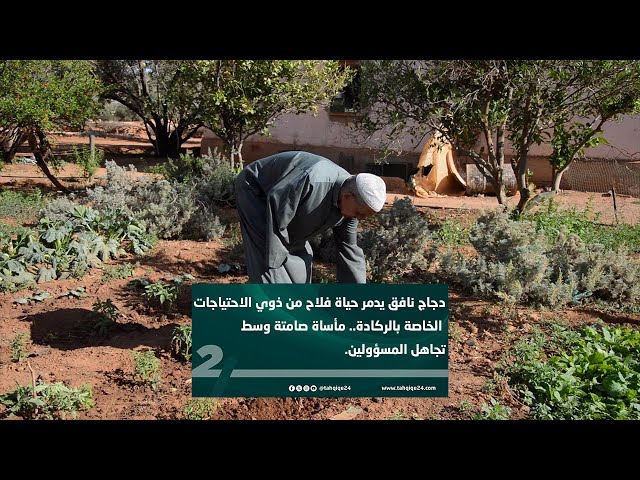 دجاج نافق يدمر حياة فلاح من ذوي الاحتياجات الخاصة بالركادة.. مأساة صامتة وسط تجاهل المسؤولين.