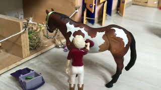Visite de mon centre équestre schleich #pourtoi #horse #equestrian
