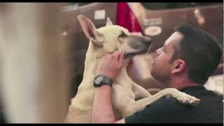 Khushiyaan Lutao Crazy Kehlao - Coca-Cola India (Call Me Crazy - TVC) screenshot 3