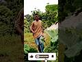 Hivi Kimetokea Nini Comedy Tembo Teacher0 