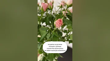 Продли жизнь букету цветов #лайфхак