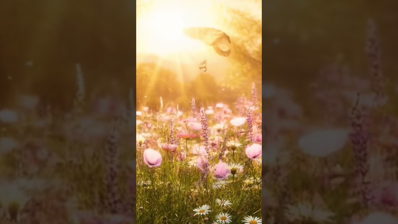 Tranquil Meadow at Golden Hour 