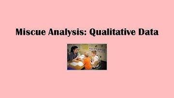 MISCUE QUALITATIVE ANALYSIS 2.4.B