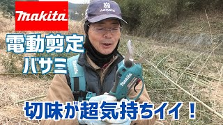 マキタ電動剪定バサミで竹の枝打ちをする！切れ味が超きもちイイ！