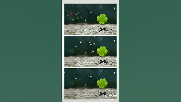 Chúc những ai xem video này sẽ thi tốt