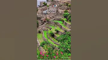 جمال روعه سحر شاهدوا هذه المناظر الرائعة الطبيعية من محافظة إب الخضراء اليمن اكسبلور تصويري 
