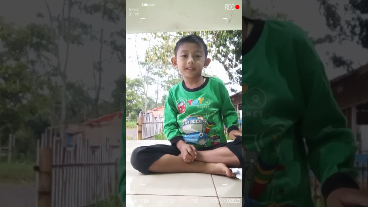 Tentang virus corona 