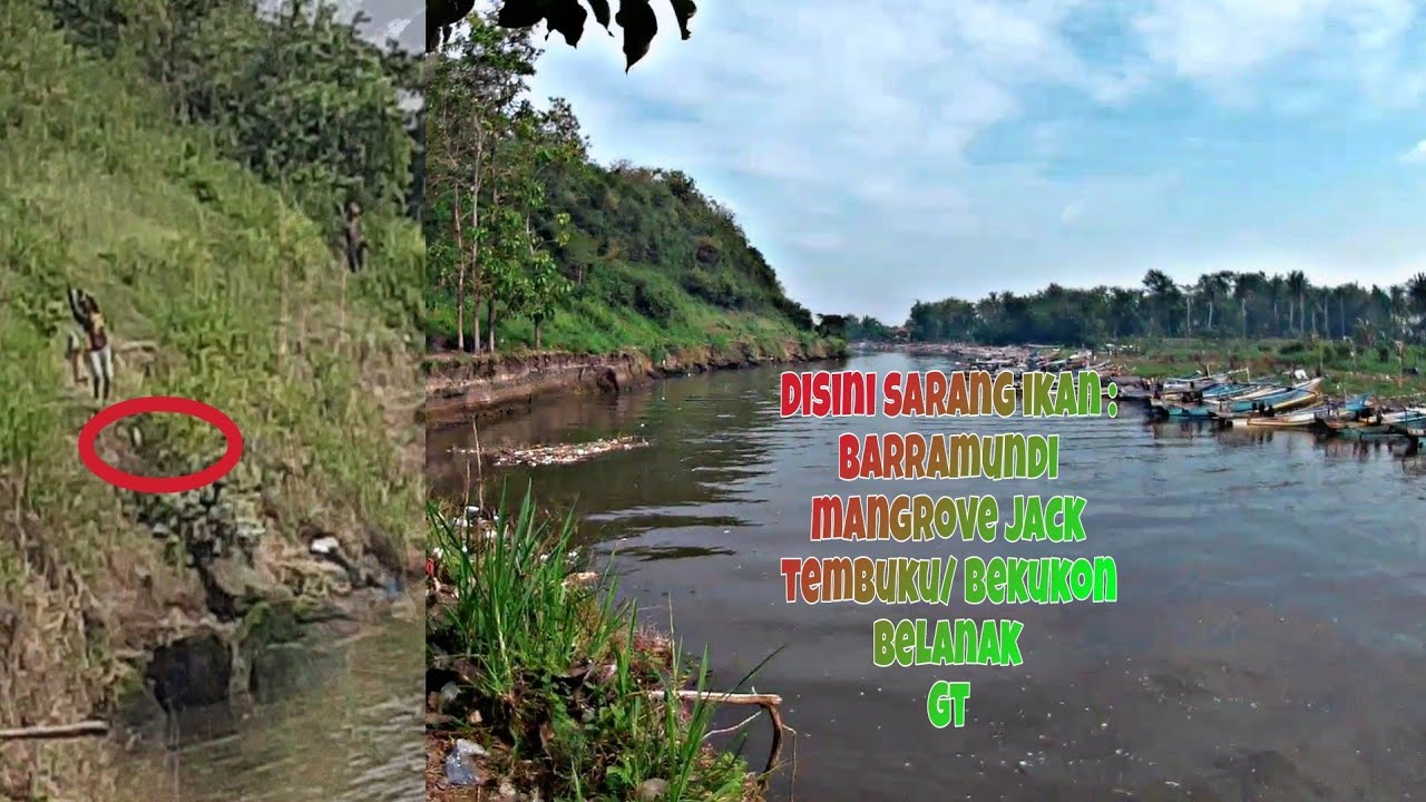 Rute perjalanan menuju spot sarang ikan kakap babon jember selatan  || Kedung Sumbul || kecotan ||