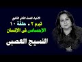 الأحياء للصف الثاني الثانوي ـ تيرم ثان { 10 }  الإحساس فى الإنسان " النسيج العصبي"